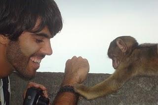 Macacos en Gibraltar