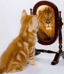 PERCEPCIÓN DE NOSOTROS. PERCEPCIÓN DE NOSOTROS.