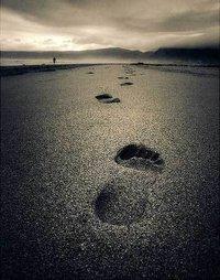 211036_205570462795600_1953273_n 104.- Futuro en verde (2)