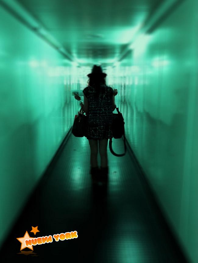 beach... zara new collection beach... zara new collection