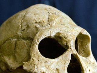 (275) EL HOMO ERECTUS DOMINABA EL ARTE DE LA COCINA (275) EL HOMO ERECTUS DOMINABA EL ARTE DE LA COCINA