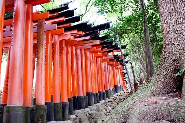 Fushimi Inari taisha (伏見稲荷大社) Fushimi Inari taisha (伏見稲荷大社)