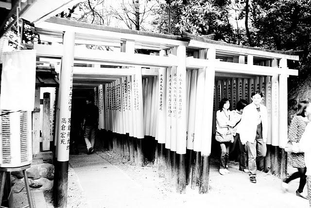 Fushimi Inari taisha (伏見稲荷大社) Fushimi Inari taisha (伏見稲荷大社)