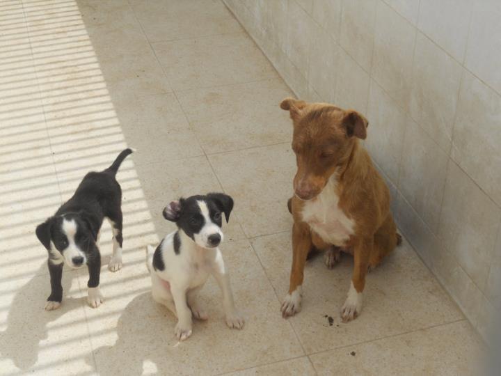 Mañana matan a la madre , hay miradas que no necesitan palabras