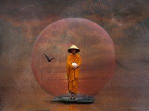 sentidos Usa tus sentidos