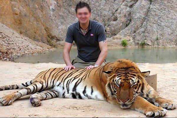El templo de los tigres, Tailandia El templo de los tigres, Tailandia