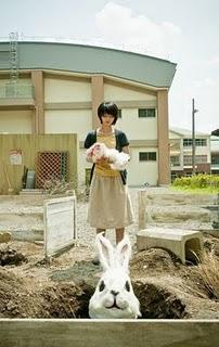 Rabbit Horror 3D trailer y nuevo poster Rabbit Horror 3D trailer y nuevo poster