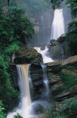 TREKKING EN LA SELVA I: HACIA LAS CATARATAS DEL GERA