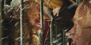 Sesión doble de verano: Desmontando mitos Sesión doble de verano: Desmontando mitos