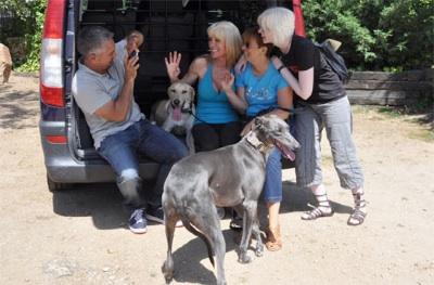 Shoco, el galgo de César Millán