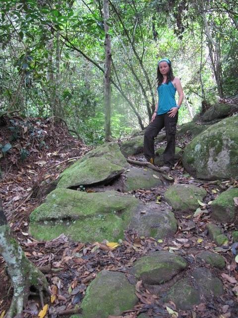 TREKKING EN LA SELVA II: HACIA LA CIMA DEL MORRO DE CALZADA TREKKING EN LA SELVA II: HACIA LA CIMA DEL MORRO DE CALZADA