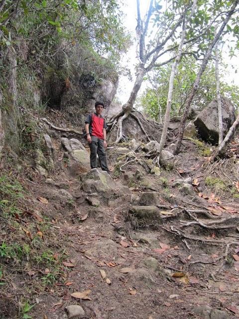 TREKKING EN LA SELVA II: HACIA LA CIMA DEL MORRO DE CALZADA TREKKING EN LA SELVA II: HACIA LA CIMA DEL MORRO DE CALZADA
