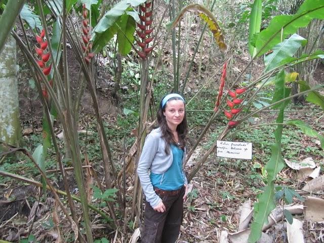 TREKKING EN LA SELVA II: HACIA LA CIMA DEL MORRO DE CALZADA TREKKING EN LA SELVA II: HACIA LA CIMA DEL MORRO DE CALZADA