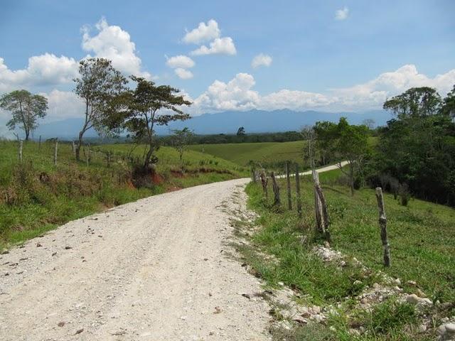 TREKKING EN LA SELVA II: HACIA LA CIMA DEL MORRO DE CALZADA TREKKING EN LA SELVA II: HACIA LA CIMA DEL MORRO DE CALZADA