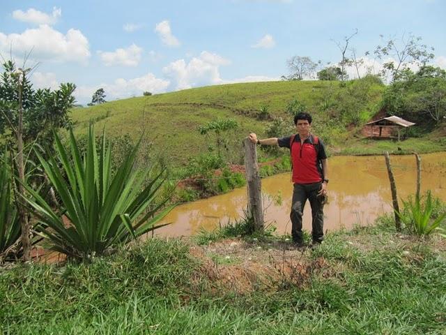 TREKKING EN LA SELVA II: HACIA LA CIMA DEL MORRO DE CALZADA TREKKING EN LA SELVA II: HACIA LA CIMA DEL MORRO DE CALZADA