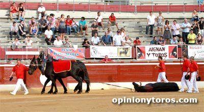Gran novillada de Baltasar Ibán en Mont de Marsan (Saint Perdon) Gran novillada de Baltasar Ibán en Mont de Marsan (Saint Perdon)
