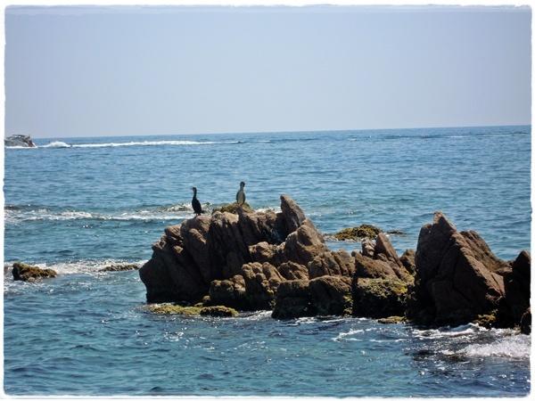 Vamos a la playa oh o-o-o-oh!!! Vamos a la playa oh o-o-o-oh!!!