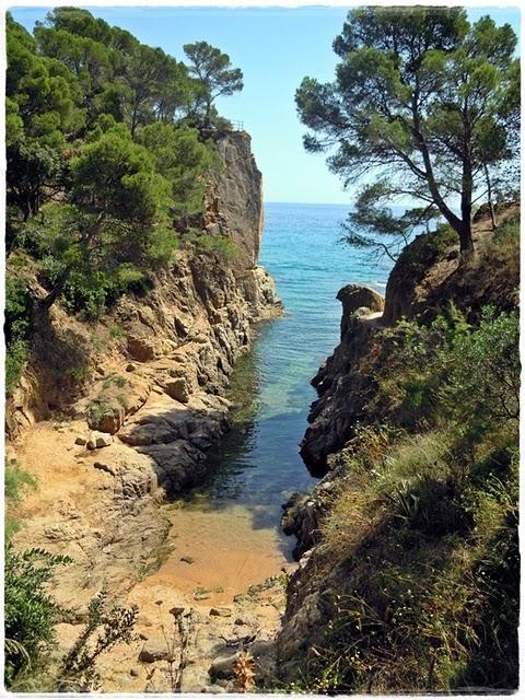 Vamos a la playa oh o-o-o-oh!!! Vamos a la playa oh o-o-o-oh!!!