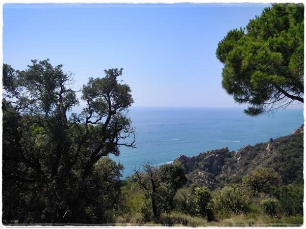 Vamos a la playa oh o-o-o-oh!!! Vamos a la playa oh o-o-o-oh!!!