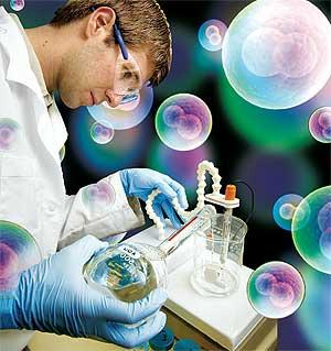 Células madre a partir de la grasa de la liposucción Células madre a partir de la grasa de la liposucción