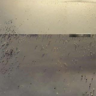 Cindytalk - Hold Everything Dear (eMego,2011) Cindytalk - Hold Everything Dear (eMego,2011)