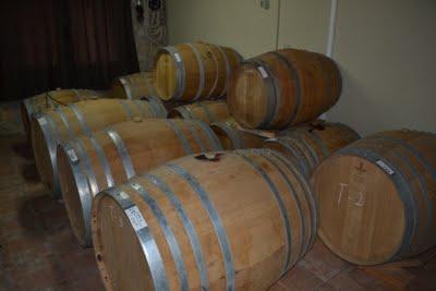VEGA AIXALÀ ( DO. CONCA DE BARBERÁ ) VEGA AIXALÀ ( DO. CONCA DE BARBERÁ )
