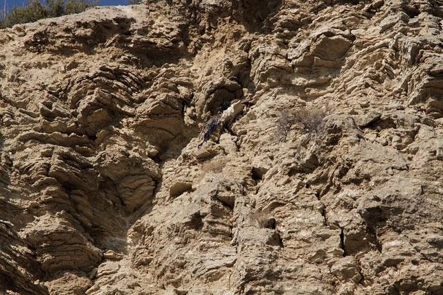 Hatsheput, Ramsés II Y Tutankhamón LA HISTORIA DE TRES DIOSES DEL CIELO Hatsheput, Ramsés II Y Tutankhamón LA HISTORIA DE TRES DIOSES DEL CIELO