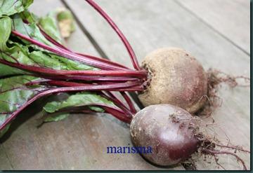 ensalada de remolacha1 ensalada de remolacha1
