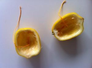 vela_limon_casera_antimosquitos5 Enciende un limón antimosquitos