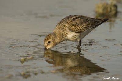 Fieles a su cita Fieles a su cita