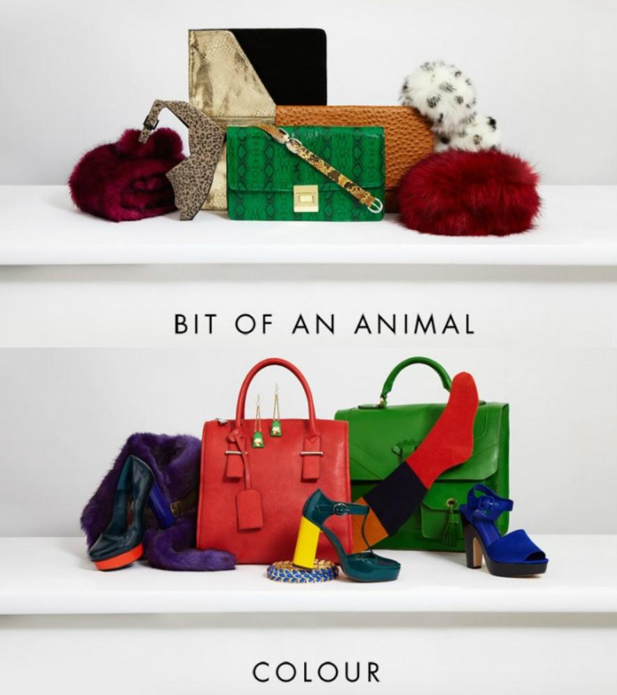 ASOS Accessories Guide : Which one do you like the Most ? Photobucket