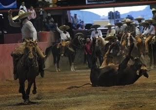 “Pichones” Campeones del Excelencia “Pichones” Campeones del Excelencia