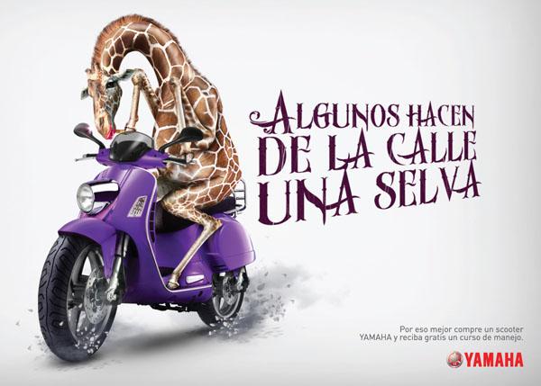 Publicidades Creativas XVII Publicidades creativas XVII