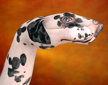 ANIMALES CON LAS MANOS, TODO UN ARTE (fotos) ANIMALES CON LAS MANOS, TODO UN ARTE (fotos)