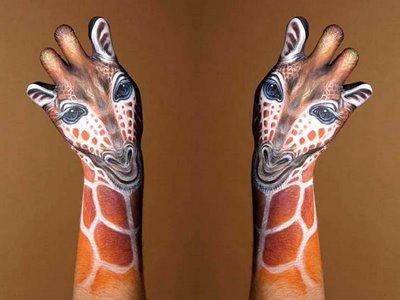 ANIMALES CON LAS MANOS, TODO UN ARTE (fotos) ANIMALES CON LAS MANOS, TODO UN ARTE (fotos)