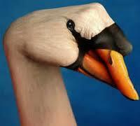 ANIMALES CON LAS MANOS, TODO UN ARTE (fotos) ANIMALES CON LAS MANOS, TODO UN ARTE (fotos)