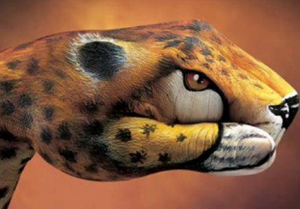 ANIMALES CON LAS MANOS, TODO UN ARTE (fotos) ANIMALES CON LAS MANOS, TODO UN ARTE (fotos)