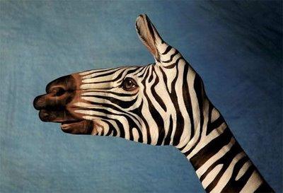 ANIMALES CON LAS MANOS, TODO UN ARTE (fotos) ANIMALES CON LAS MANOS, TODO UN ARTE (fotos)