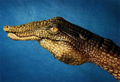 ANIMALES CON LAS MANOS, TODO UN ARTE (fotos) ANIMALES CON LAS MANOS, TODO UN ARTE (fotos)