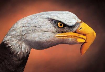 ANIMALES CON LAS MANOS, TODO UN ARTE (fotos) ANIMALES CON LAS MANOS, TODO UN ARTE (fotos)