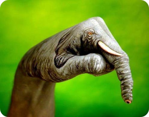 ANIMALES CON LAS MANOS, TODO UN ARTE (fotos) ANIMALES CON LAS MANOS, TODO UN ARTE (fotos)