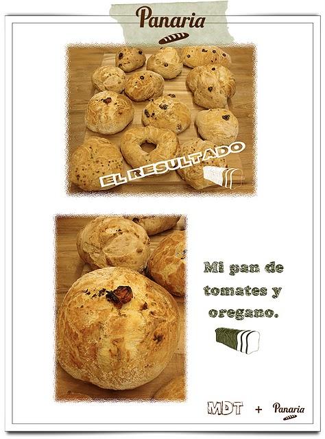 Tosta SSH - Taller de pan Tosta SSH - Taller de pan