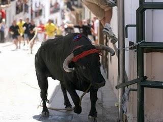 MAÑANA, NUEVA CITA CON EL TORO DE CUERDA EN CARCABUEY MAÑANA, NUEVA CITA CON EL TORO DE CUERDA EN CARCABUEY