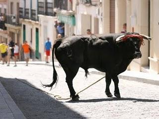 MAÑANA, NUEVA CITA CON EL TORO DE CUERDA EN CARCABUEY MAÑANA, NUEVA CITA CON EL TORO DE CUERDA EN CARCABUEY