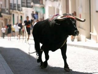 MAÑANA, NUEVA CITA CON EL TORO DE CUERDA EN CARCABUEY MAÑANA, NUEVA CITA CON EL TORO DE CUERDA EN CARCABUEY