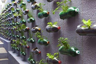 Jardín vertical con botellas recicladas