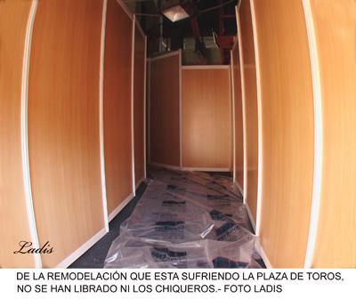 CORDOBA: CONTINÚAN SIN DESCANSO LOS TRABAJOS EN LOS CALIFAS CORDOBA: CONTINÚAN SIN DESCANSO LOS TRABAJOS EN LOS CALIFAS