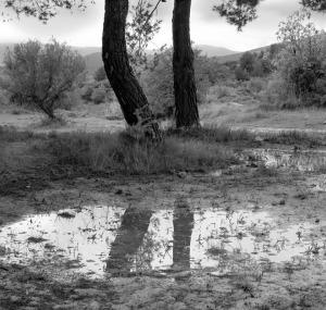 Gotas de Lluvia