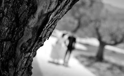 Una boda real... ¡MI BODA! Una boda real... ¡MI BODA!