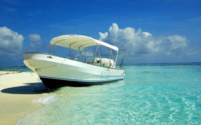 Cayo Largo del Sur: Un edén cubano Cayo Largo del Sur: Un edén cubano